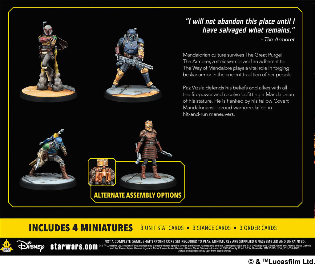 SWSP: This Is the Way (Squad)