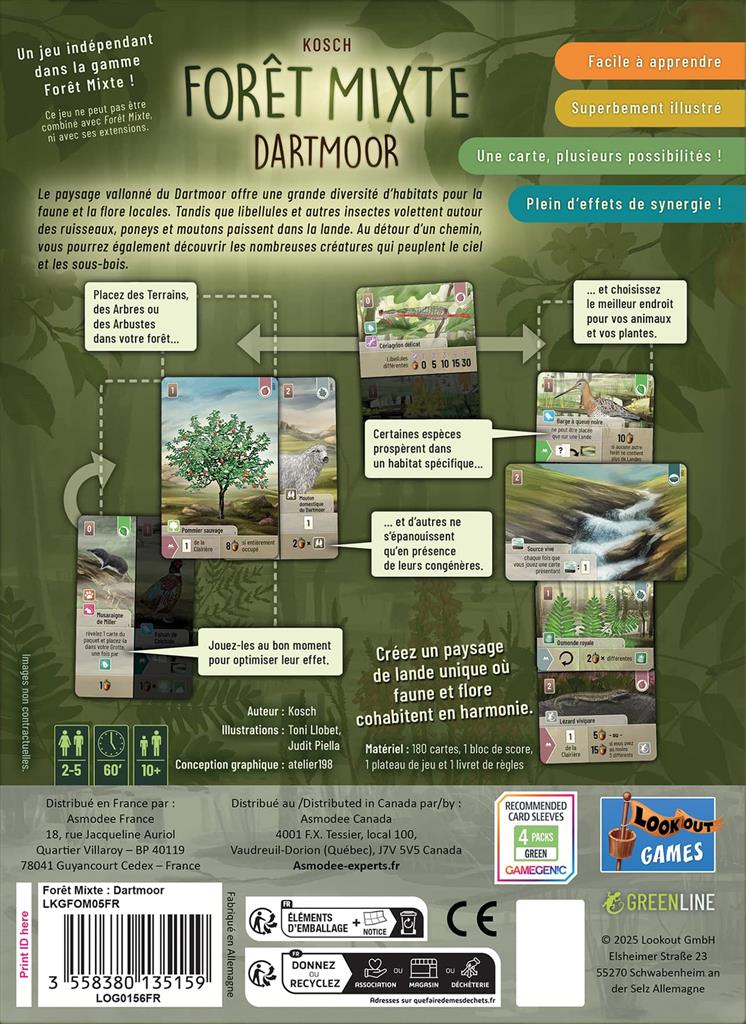 Forêt Mixte : Dartmoor Forêt Mixte : Dartmoor