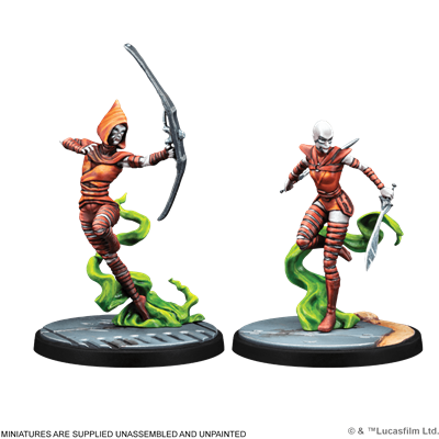 SWSP: Witches of Dathomir (Squad)