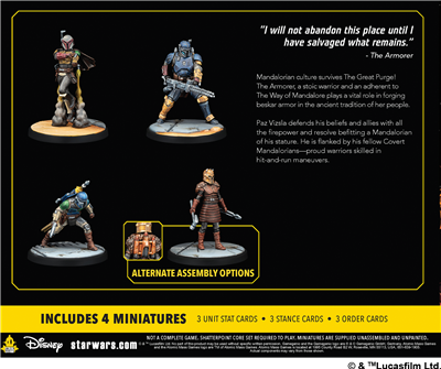 SWSP: This Is the Way (Squad)