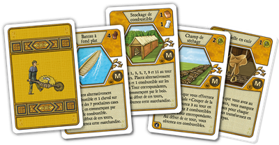 Agricola: Farmers of the moor (Revised Edition) FR