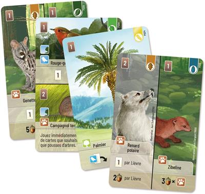 Forêt Mixte : Exploration (Ext) Forêt Mixte : Exploration (Ext)