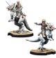 SWL: Han Solo & Luke Skywalker on Tauntauns