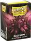 100 Dragon Shield Matte : Blossom (10) 100 Dragon Shield Matte : Blossom (10)