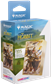 GG: MTG Hobbit Premium Art Sleeves - Thorin