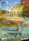 Forêt Mixte Smoky Mountains