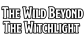 D&D 5 : Wild Beyond The Witchlight EN